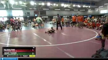 45 lbs Round 7 (8 Team) - Henry Tucker, Some Tennessee Kids vs Eli Sullivan, Stronghold - Gold