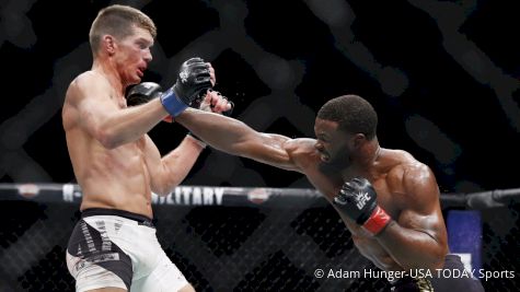 UFC 209: Tyron Woodley vs. Stephen Thompson 2