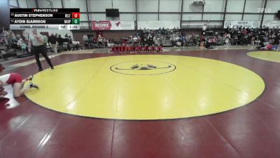 126 lbs Cons. Round 3 - Austin Stephenson, Delta vs Aydin Bjarnson, North Sanpete