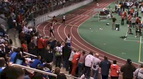 M 200 H01 (Lalonde 2058, BU Terrier)