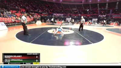 1A 126 lbs Champ. Round 1 - Bowden Delaney, Tremont vs Micah Spinazzola, Peotone