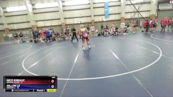 145 lbs Placement (16 Team) - NICO EGBALIC, Nevada SILVER vs Dillon Le, Oregon 2