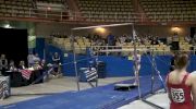Aerial Athletics (Braie Speed) 9.90 2nd