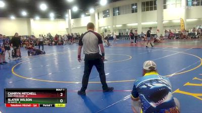 120 lbs Round 1 (6 Team) - Camryn Mitchell, Ohio Titan Blue vs Slater Wilson, SD White