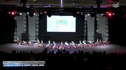 Ultimate Dance & Cheer - Onyx Jazz [2026 Mini - Premier - Jazz - Large Day 1] 2026 ASCS Dance Grand Nationals & Cheer Nationals