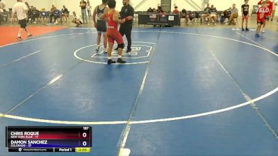 187 lbs Quarterfinals (8 Team) - Chris Roque, New York Blue vs Damon Sanchez, Colorado