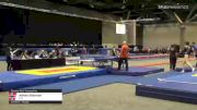 Ashley Sherman - Double Mini Trampoline, ETA - 2021 USA Gymnastics Championships