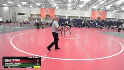 125 lbs Cons. Round 4 - Zach Dellinger, Penn State Behrend vs Jabari Pinkney, Norwich