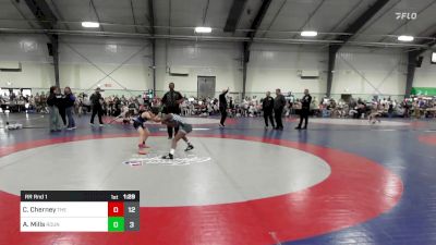 84 lbs Rr Rnd 1 - Channing Cherney, The Storm Wrestling Center vs Americah Mills, Roundtree Wrestling Academy