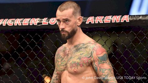 CM Punk Making MMA Return In 2017?