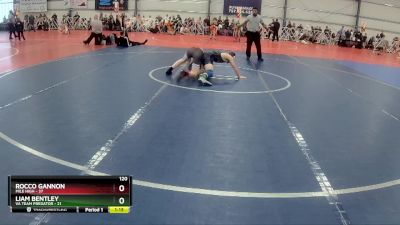 120 lbs Rd# 10- 4:00pm Saturday Final Pool - Liam Bentley, VA Team Predator vs Rocco Gannon, Mile High