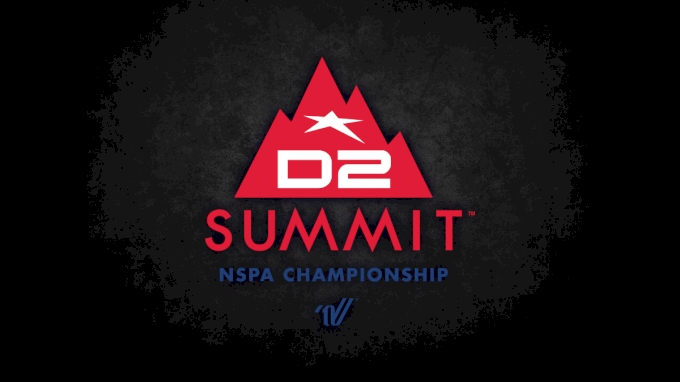 picture of 2017 The D2 Summit