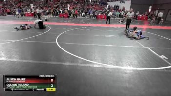 60 lbs Cons. Round 3 - Colton Reiland, Appleton North Youth Wrestling vs Austin Haure, MGM Silver Spartans