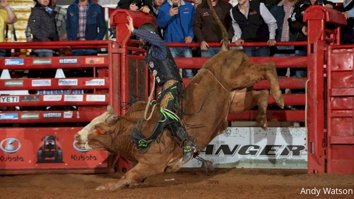 SweetPro’s Bruiser Looks For Historic Sweep Of PRCA And PBR Bull Awards
