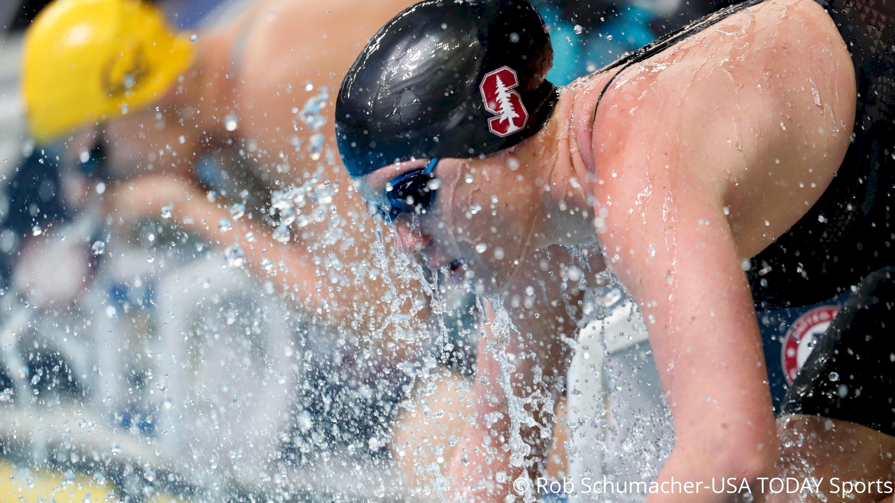 2017 NCAA DI Women's Swimming & Diving Championships - News - FloSwimming