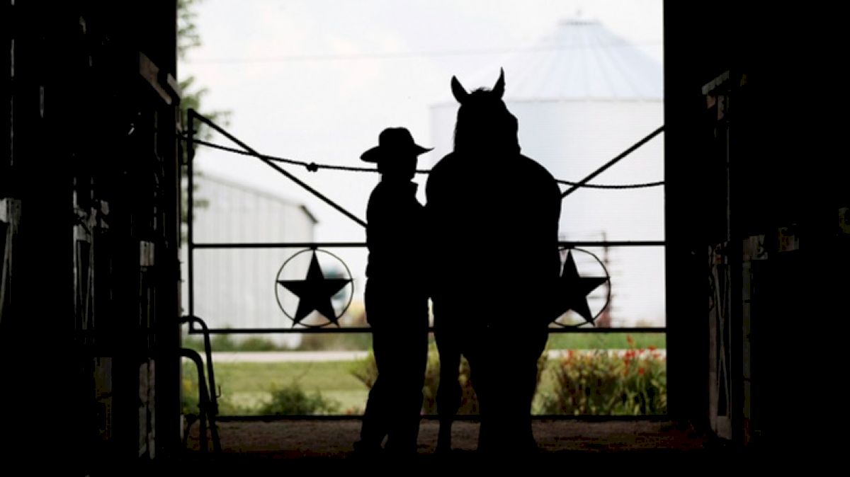 Equine Herpes Virus Confirmed in Denton County Horse