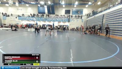 132 lbs Cons. Round 3 - Tanner Ellis, Blackfoot vs Dante DeGiulio, Snake River