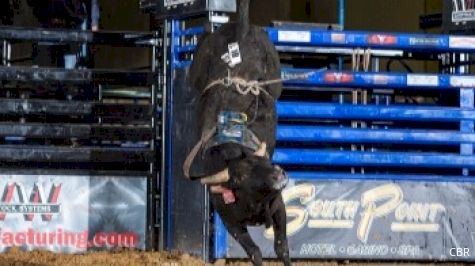 Weekend Warriors Win CBR Championship Futurity Tour Season Opener