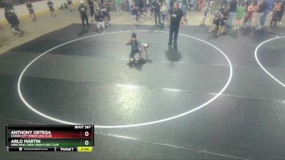 59-63 lbs Round 3 - Arlo Martin, Wrecking Crew Wrestling Club vs Anthony Ortega, Canon City Wrestling Club