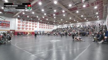 113 lbs Cons. Round 4 - Riley Pylypiak, Highland vs Trevor Bridges, Teays Valley