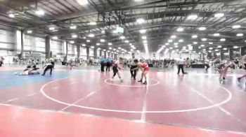 132 lbs Round Of 32 - Riley Halal, NJ vs Eli Larson, MN