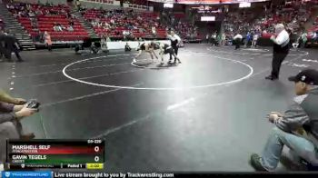 D3-220 lbs Semifinal - Gavin Tegels, Cadott vs Marshell Self, Ithaca/Weston