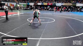 145 lbs Quarterfinal - Laramie Gibson, Colony High School vs Cody Vansiegman, Palmer High School