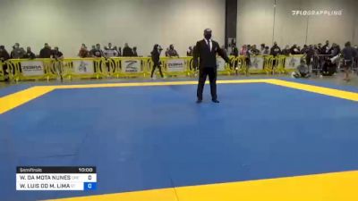 WILLIS DA MOTA NUNES vs WASHINGTON LUIS DO M. LIMA 2020 IBJJF Pan No-Gi Championship