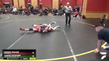 90 lbs Round 3 (6 Team) - Dominic Englese, Bad Bass vs Harper Hamacher, Untouchables Black