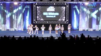 USA Wildcats - Itty Bitty Kitties [2024 L1.1 Tiny - PREP Day 1] 2024 Athletic Championships Grand Nationals