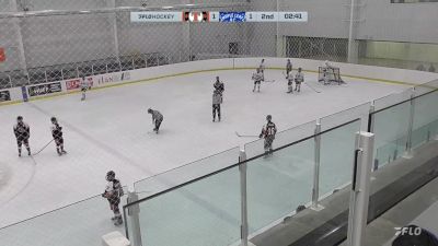 Replay: Home - 2025 South East (SEAC) Tigers vs MLAC Leafs | Jan 25 @ 7 PM