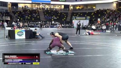 138 lbs Cons. Round 4 - Nina Makem, Augsburg University vs Marissa Sanabria, Lindenwood University