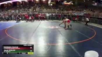 1A 138 lbs Cons. Round 1 - DOMINICK FOUCHE, Clearwater Central Catholic vs David Byelick, St. Andrew`s
