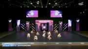 mettmann- sport e.V. - Opalite Dance Crew [2026 JJ Day 2] 2026 Summer All Level Championship West