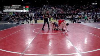 144 lbs Semifinal - Nathan Gugelman II, American Falls vs Raidyn Pugsley, Buhl