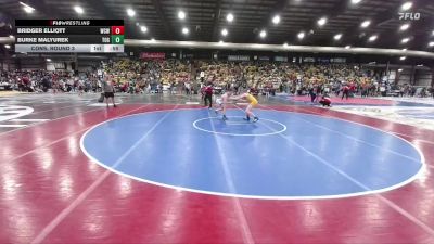 130 lbs Cons. Round 3 - Burke Malyurek, Touch Of Gold vs Bridger Elliott, Windy City Wrestlers
