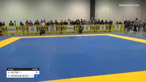 ANDREW WILTSE vs PEDRO HENRIQUE DE OLIVEIRA E SIL 2020 IBJJF Pan No-Gi Championship