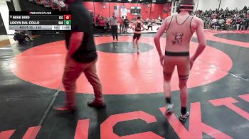 106 lbs Champ. Round 1 - Logyn Dal Collo, Machesney Park (HARLEM) vs Mike Bird, Elmhusrt (IC CATHOLIC)