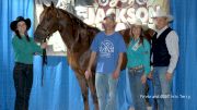 Adrian Bolin Captures The Futurity Title At The Jackson Hall Memorial