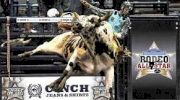 2017 Rodeo All Star