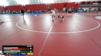 131-132 D Round 2 - Cale Quaintance, Marathon vs Lucas Christiansen, Iowa Grant/Highland