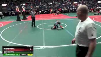 65 lbs Quarterfinal - Sean Roppel, WCWA vs Andrew Bell, MLW2