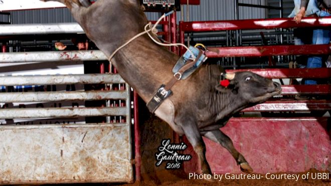 2016 Red River Chute Out Open & Youth Futurity Look-Back