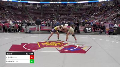 172 lbs Round Of 32 - Jessie Orbin, Chartiers-Houston vs Daniel Haubert, Palisades