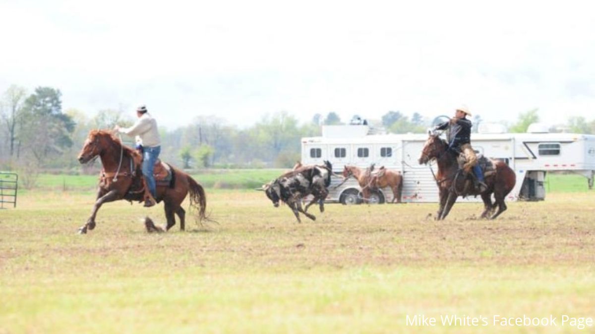 A Lesson For Us All Can Be Found At Mike White's Pasture Roping