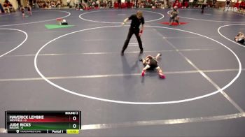 48 lbs Round 2 (4 Team) - Jude Ricks, Rogers vs Maverick Lembke, Westfield