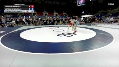 144 lbs Cons. Rd Of 16 - Rocco Cassioppi, IL vs Nathan Gugelman II, ID
