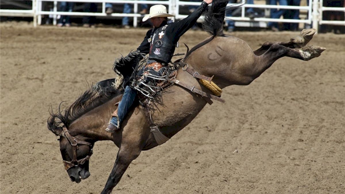 Rodeo's Top Athletes Set For 2017 Calgary Stampede