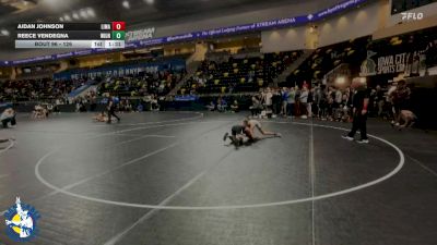 126 lbs Champ. Round 1 - Aidan Johnson, Linn-Mar vs Reece Vendegna, Wilmot Union