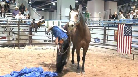 2016 Colt Starting Challenge USA Day 2